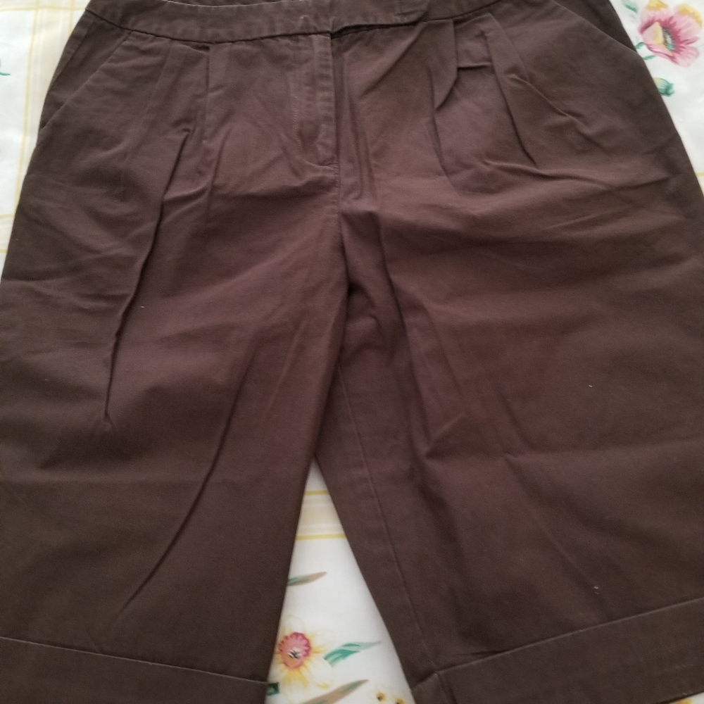 Very Gently Used Brown Talbots Shorts